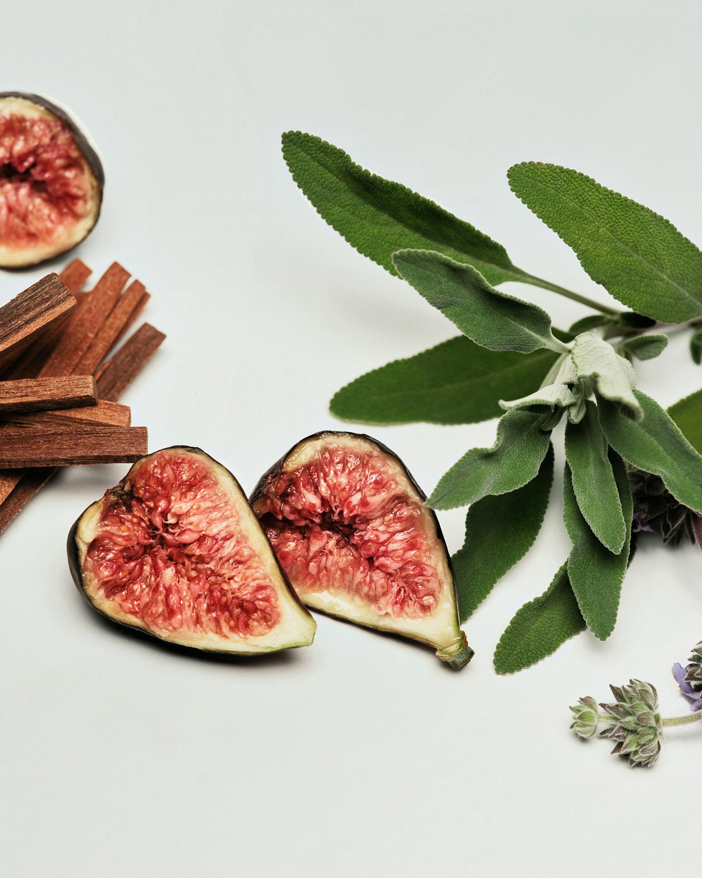 Sandstone has notes of Clary Sage, Fig Leaf, and Sandalwood.