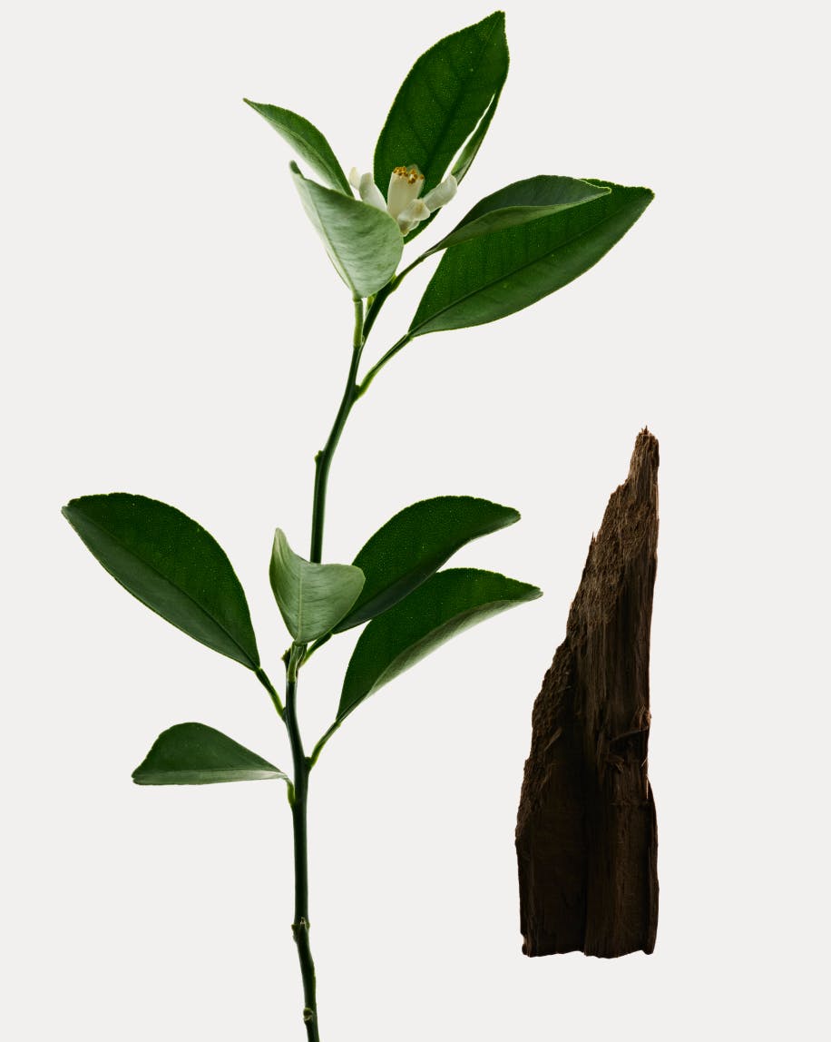 neroli candle ingredients