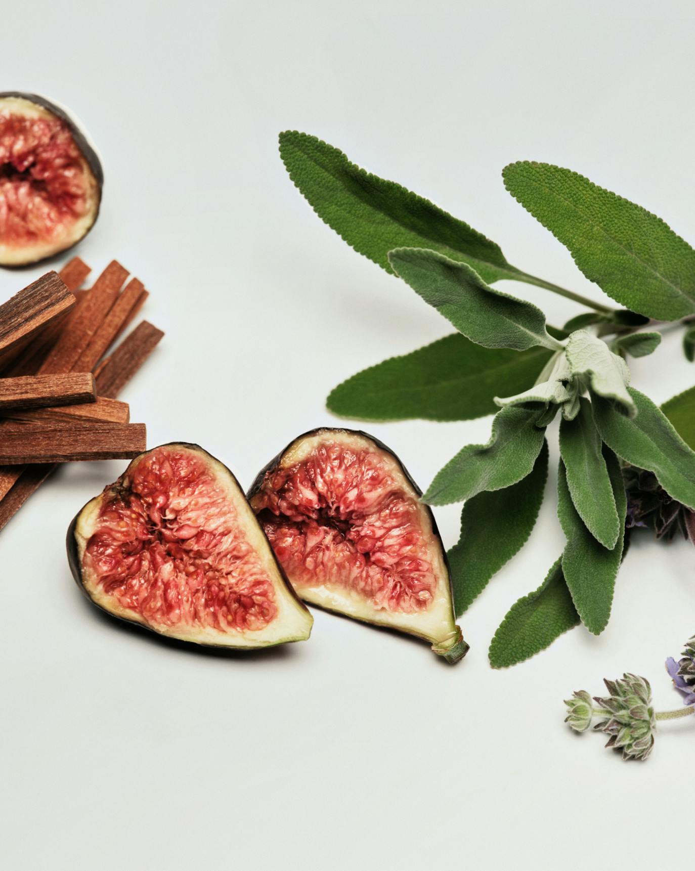 Sandstone has notes of Clary Sage, Fig Leaf, and Sandalwood.