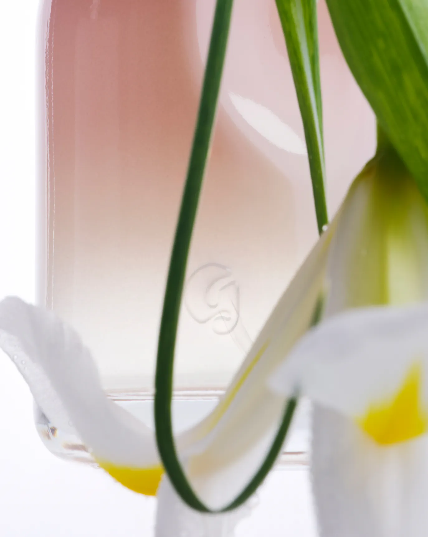 Glossier You