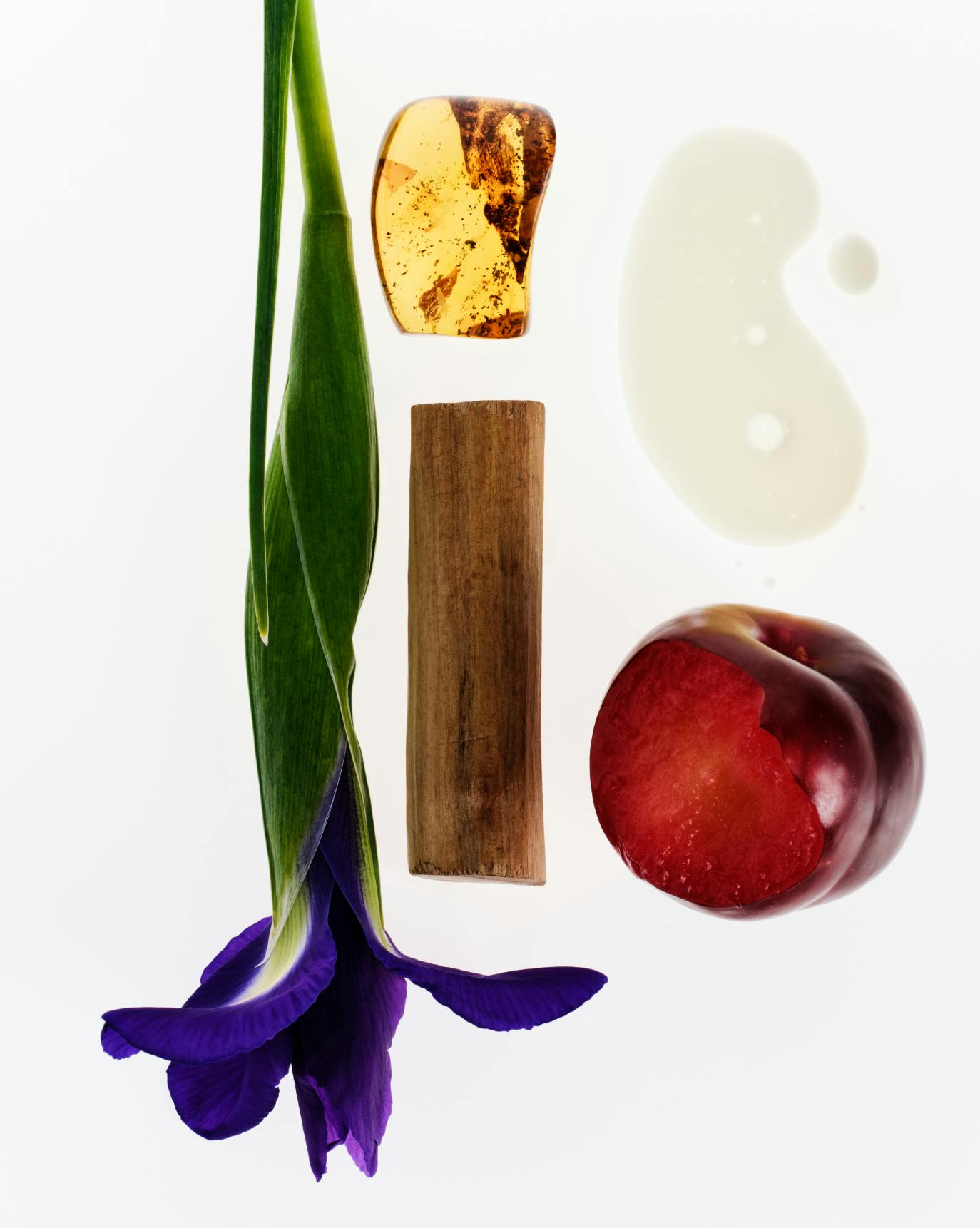 Rêve is a lush + dreamy gourmand.