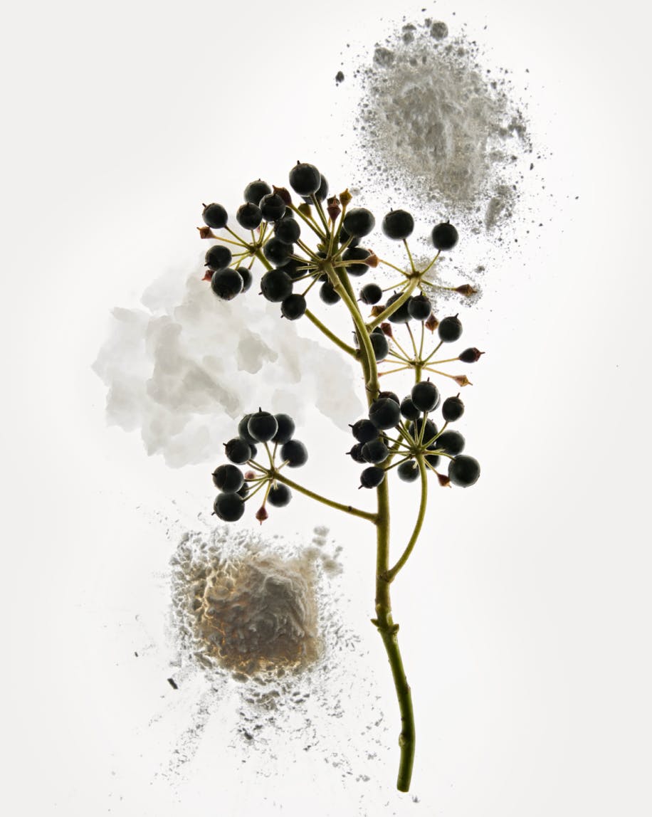 Deodorant features key ingredients like Superfruit Elderberry Extract, Magnesium Hydroxide, and Potato Starch.