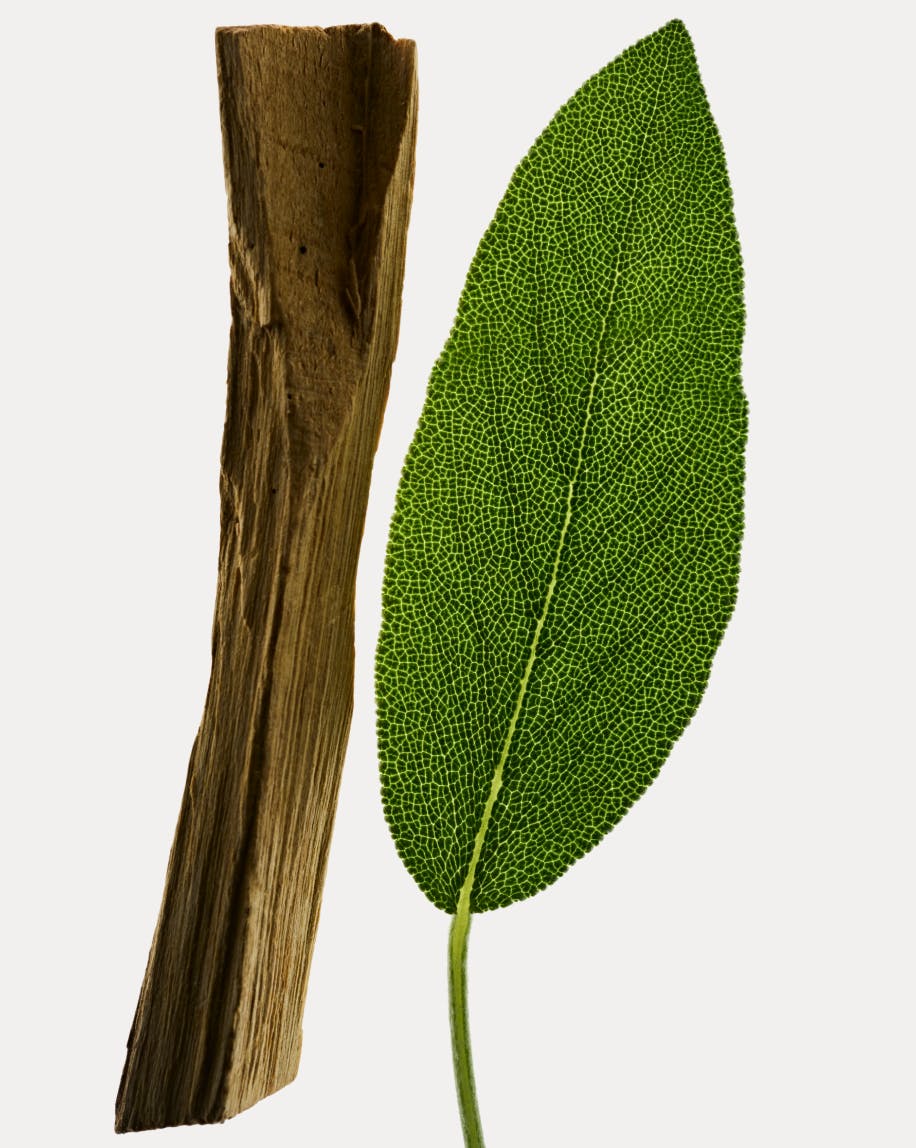 Sandstone has notes of Sandalwood, Clary Sage, and Fig Leaf.