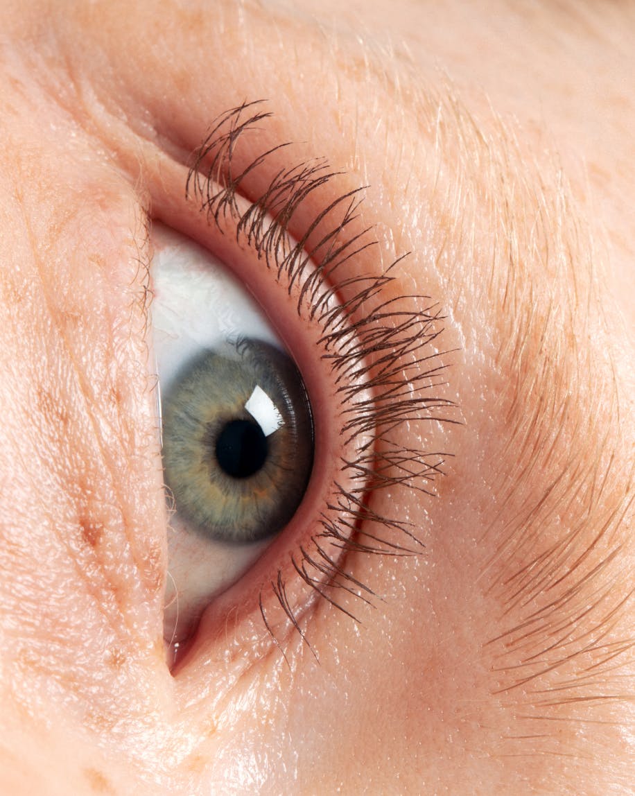 close of up model's eye wearing lash slick brown on eyelashes.