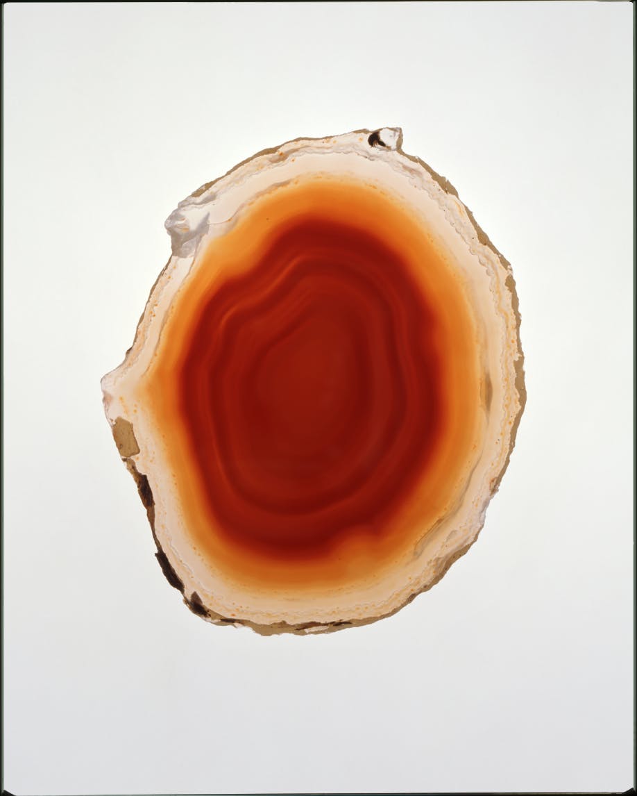 Inspired by colors found in nature‚Äîon the beach, in our backyards‚Äîthat we wish we could wear.